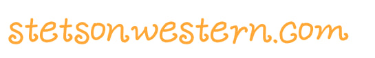 Stetson Men's Western Hats – Online Stetson Shop Purchase 2024